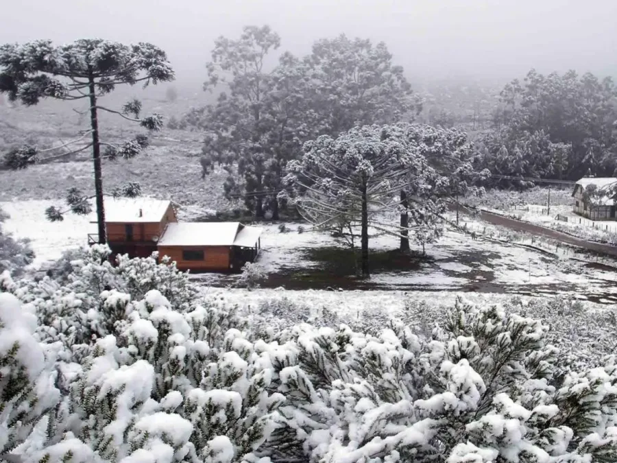 Imagem cambara-sul